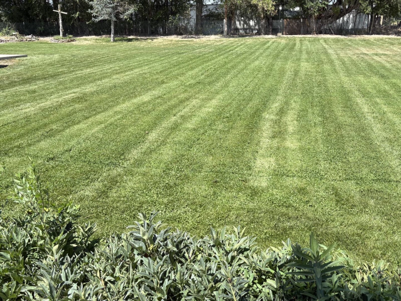 Expert Lawn Care Services to Keep Your Yard Beautiful Blog